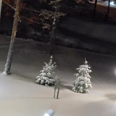 Appartamento Bela Ns 56m2 Lux