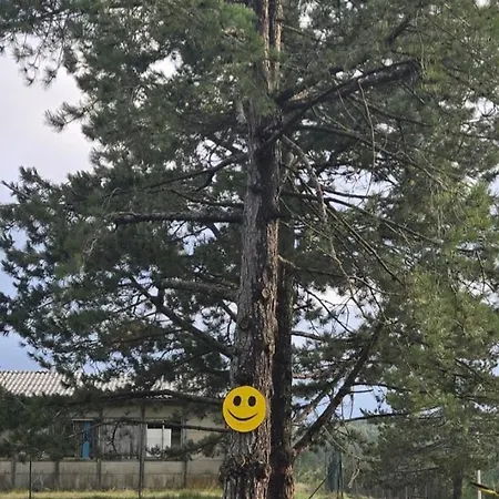 Bela Ns 56m2 Lux * Divčibare