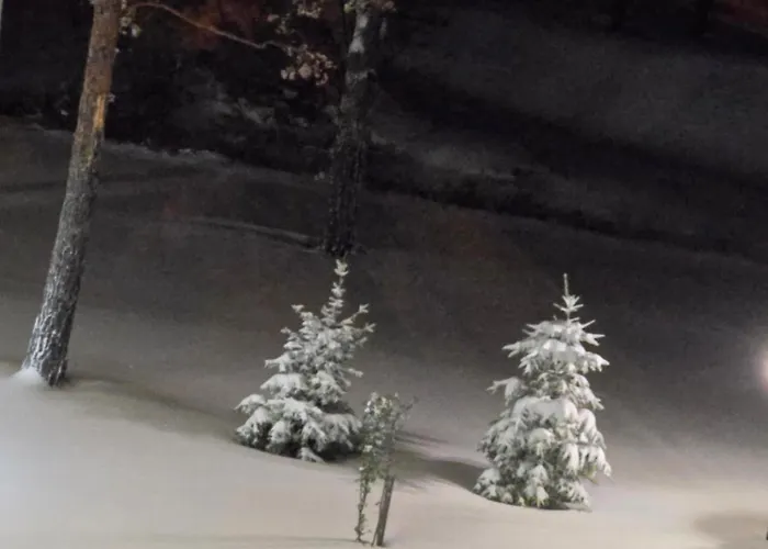 شقة Bela Ns 56m2 Lux